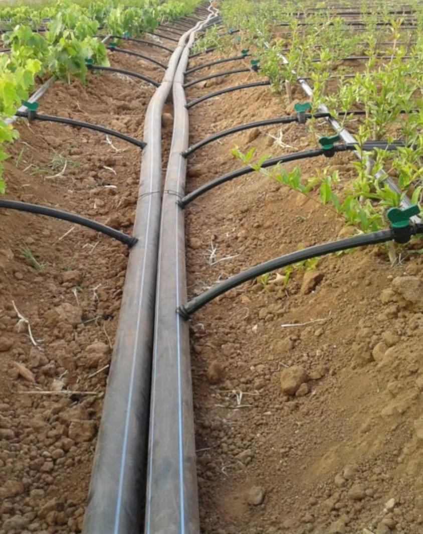 Drip Irrigation Systems